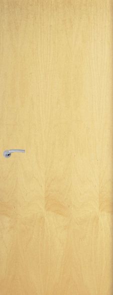 Ash Real Wood Veneer FD60 54mm - PD